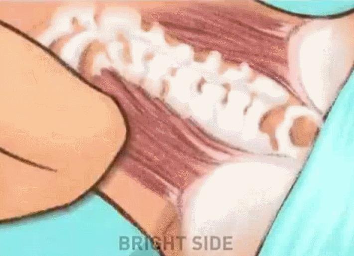 养生按摩身体手法全过程,1小时按摩全身教程