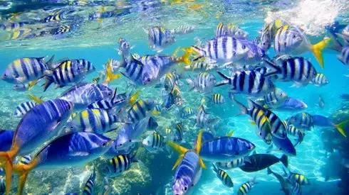 帕劳旅游攻略小册子,帕劳旅游攻略大全集