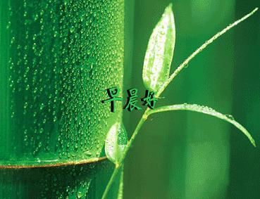 早安问候语最暖心图片,每日问候语早安动态图片