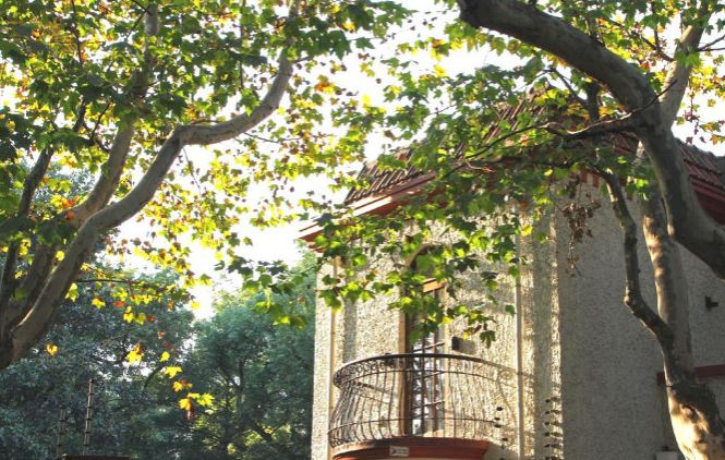 上海可以坐地铁去的古镇,上海国外风情的小镇