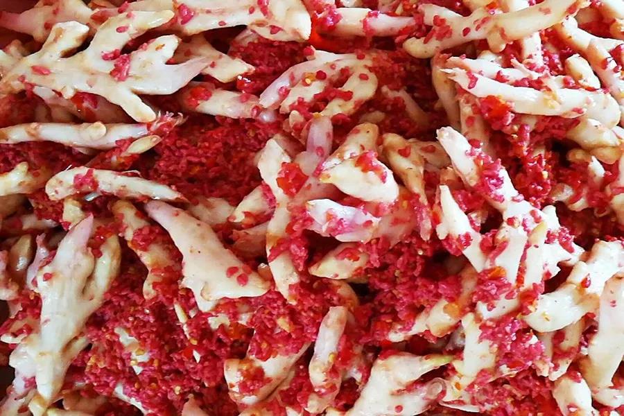 新春旅行去哪里,新春出游目的地