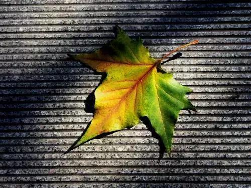 房县黄酒故乡传说,房县黄酒暖身暖心