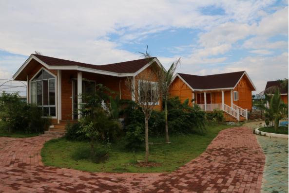 新春旅行去哪里,新春出游目的地