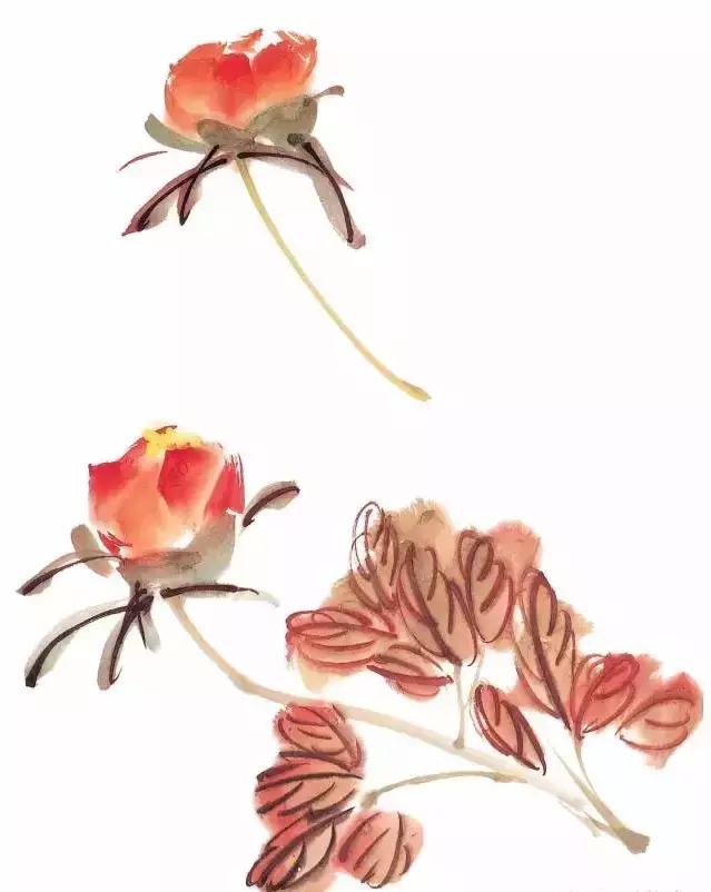 果果小写意牡丹画法教学视频,王绣写意牡丹画法零基础视频