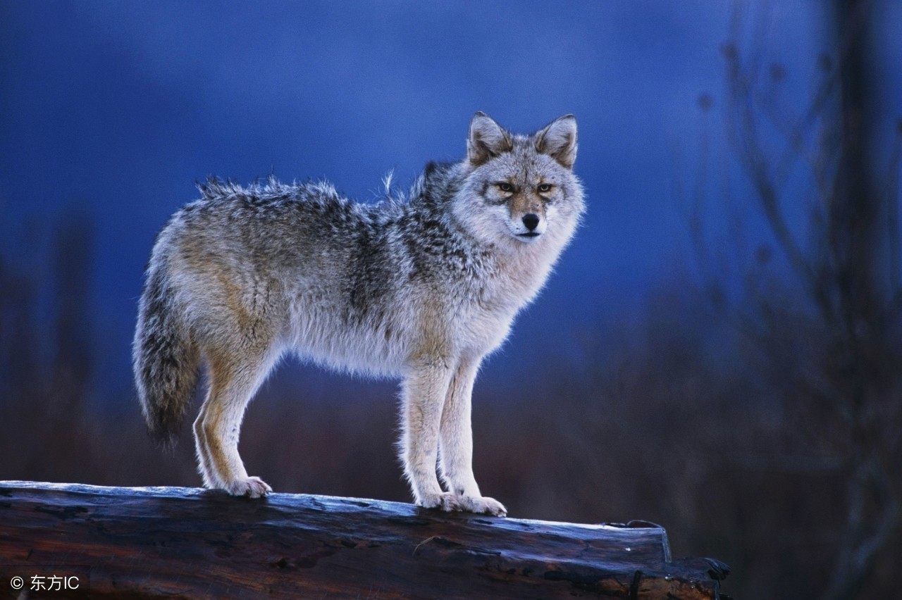 快过年了欠一屁股债怎么办,快过年啦又欠一屁股债怎么办