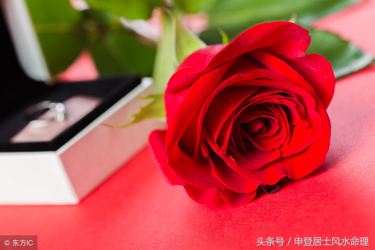 情人节送礼跟平常送礼有区别吗 (情人节给朋友送礼物有什么讲究)