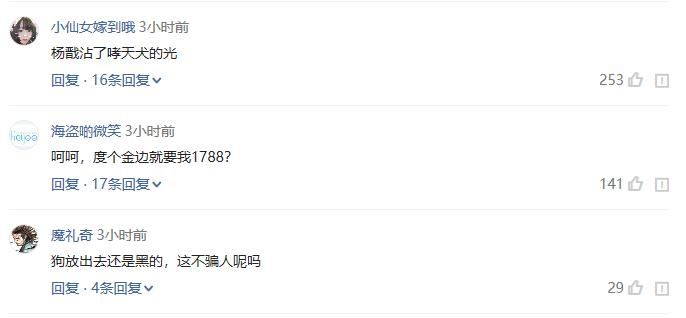 王者荣耀狗年限定原价,王者荣耀狗年限定皮肤返场