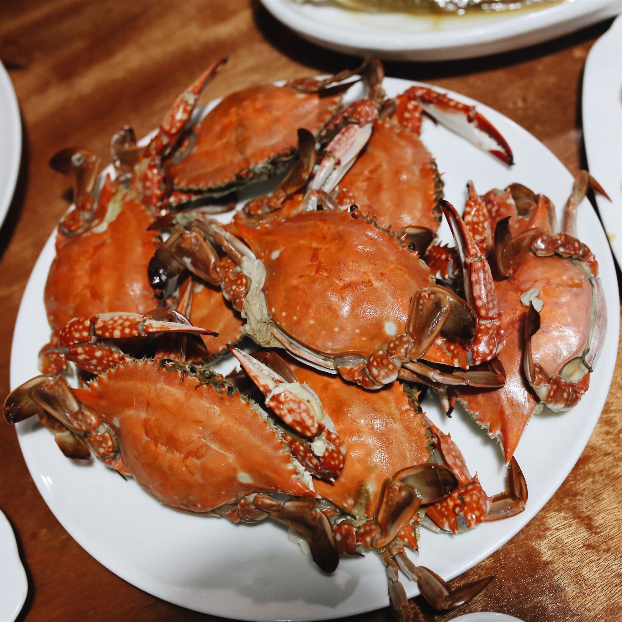 舟山春节海鲜攻略,舟山春季适合吃什么海鲜