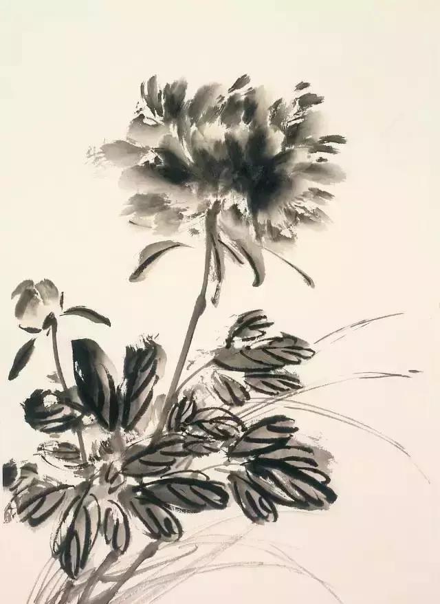 果果小写意牡丹画法教学视频,王绣写意牡丹画法零基础视频