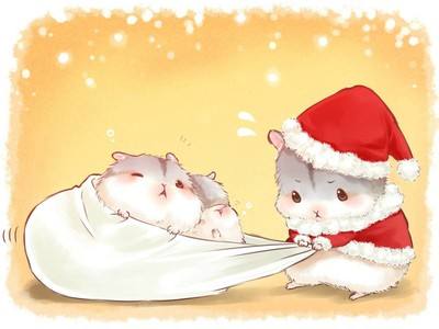 仓鼠的脾气,仓鼠的暴脾气