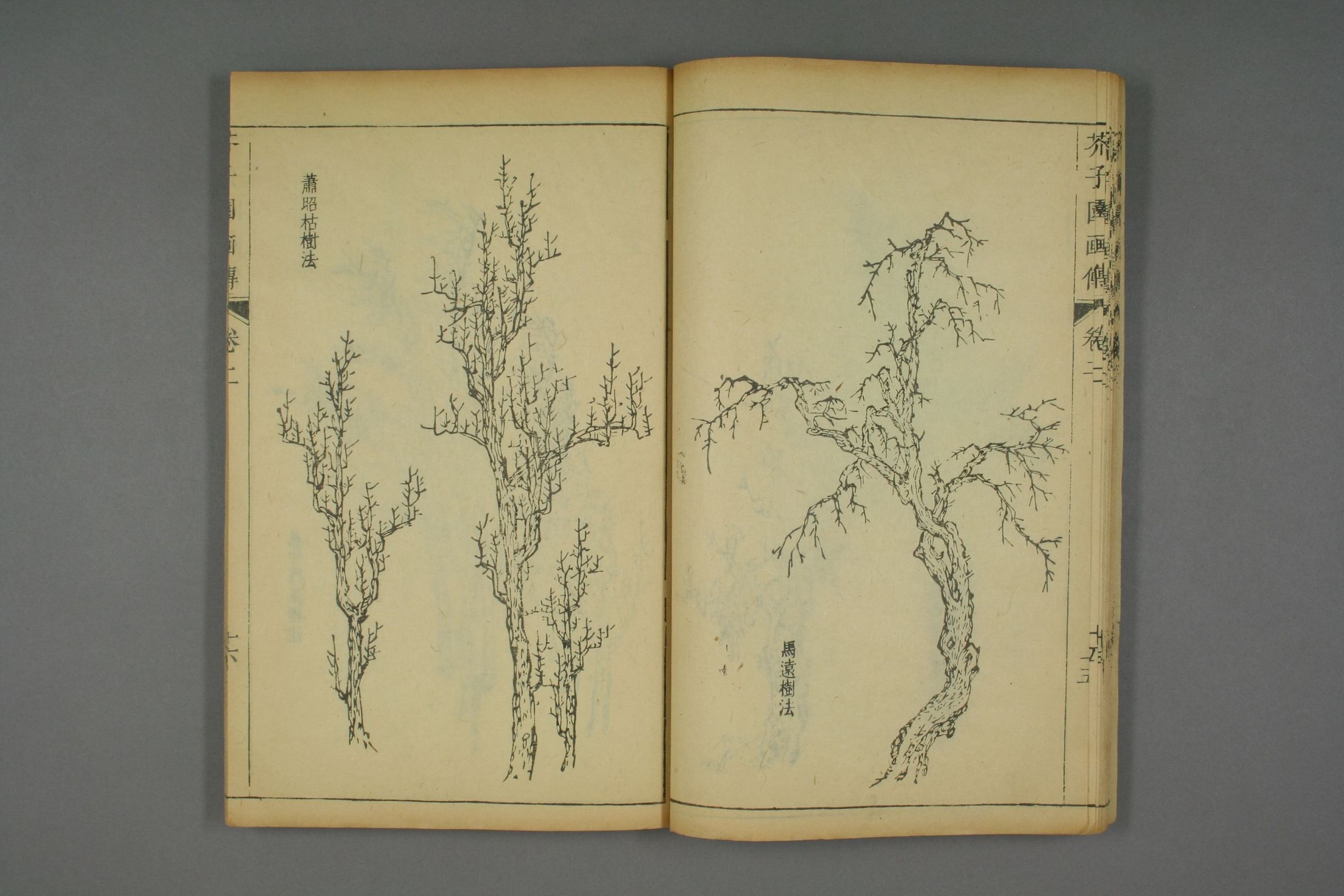 康熙原版芥子园画传全套,芥子园画传价格