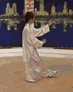 太极二十四式入门基本动作,太极入门学24式吗