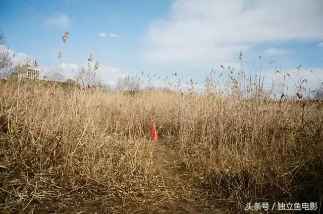 2月份有什么好看的电影大片不,2月份上映的大片