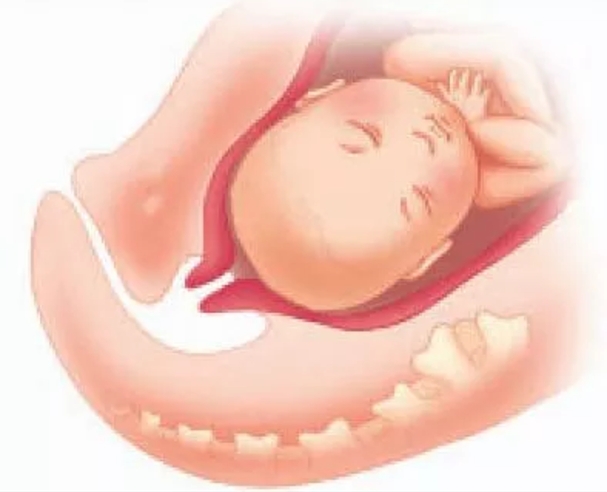 准妈妈必知的10个产检时间,准妈妈新手必看100例