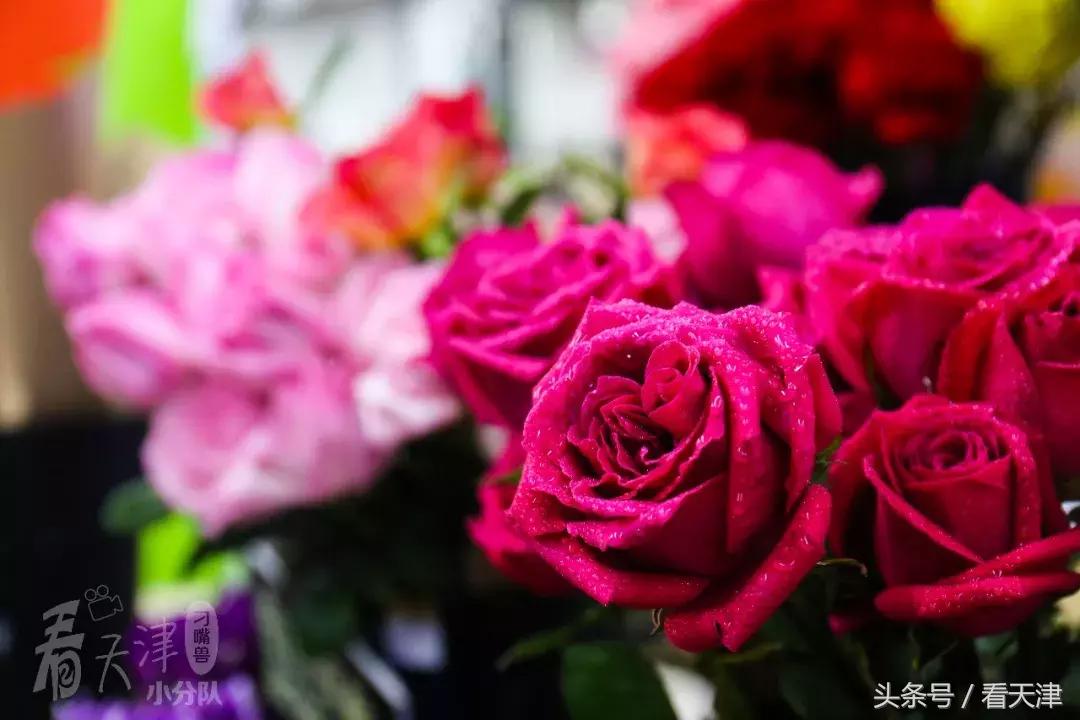 天津大胡同市集,天津最全年货市集都在这儿了