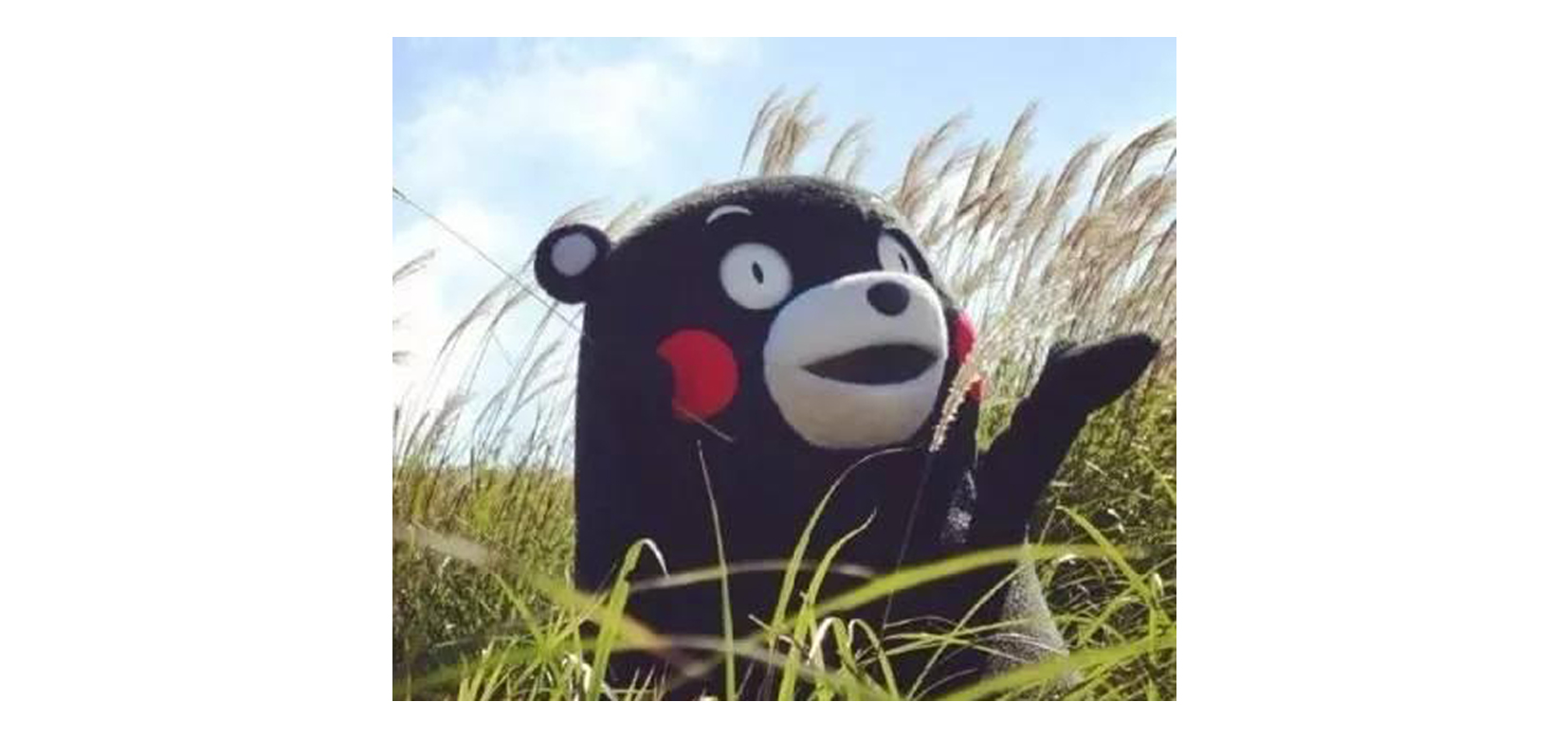 请查收过年“辟谣小能手”速成宝典！