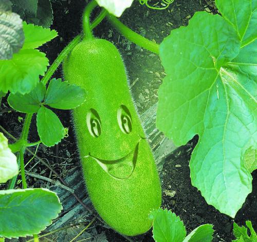 去除油腻推荐的食物有哪些,最近油腻的东西吃多了怎么办