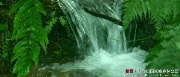 云南泸西春节旅游,泸西红高原