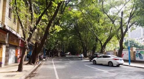 一碗牛杂能在夜市立足几十年,牛杂记忆深处的味道