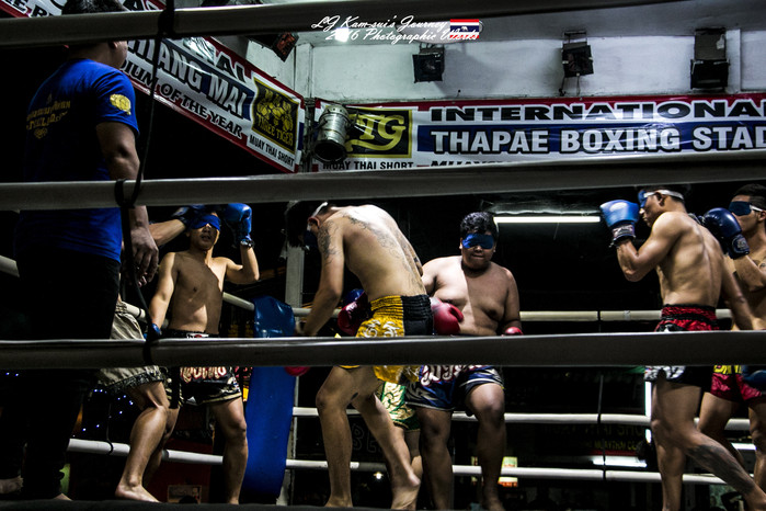 清迈佛寺之城等你采撷的泰北玫瑰,清迈环球旅行家