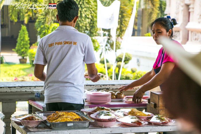 清迈佛寺之城等你采撷的泰北玫瑰,清迈环球旅行家