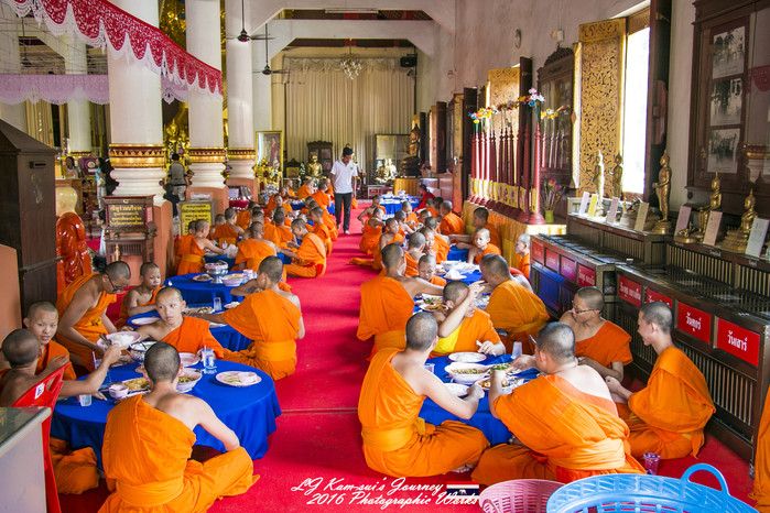 清迈佛寺之城等你采撷的泰北玫瑰,清迈环球旅行家