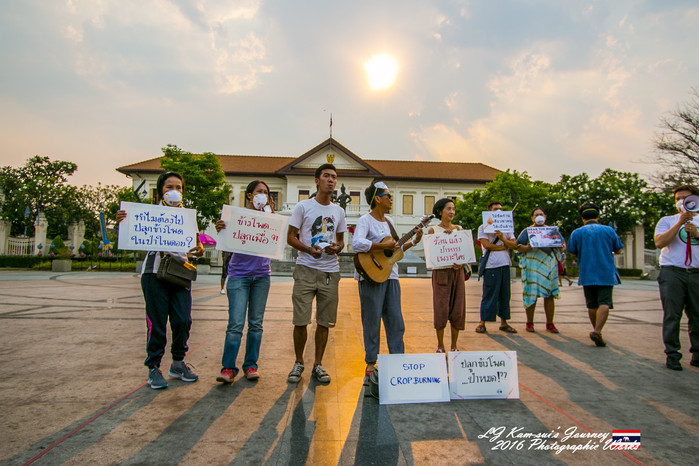 泰国清迈县旅行者,清迈佛寺之城等你采撷的泰北玫瑰