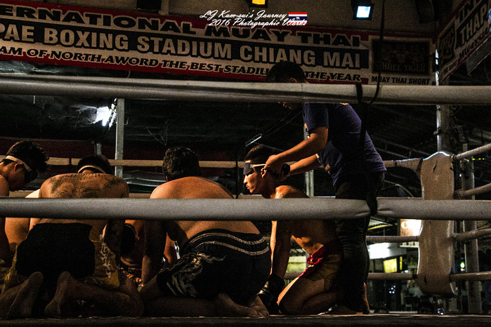清迈佛寺之城等你采撷的泰北玫瑰,清迈环球旅行家