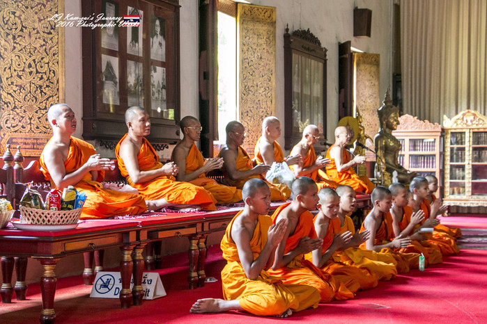 清迈佛寺之城等你采撷的泰北玫瑰,清迈环球旅行家