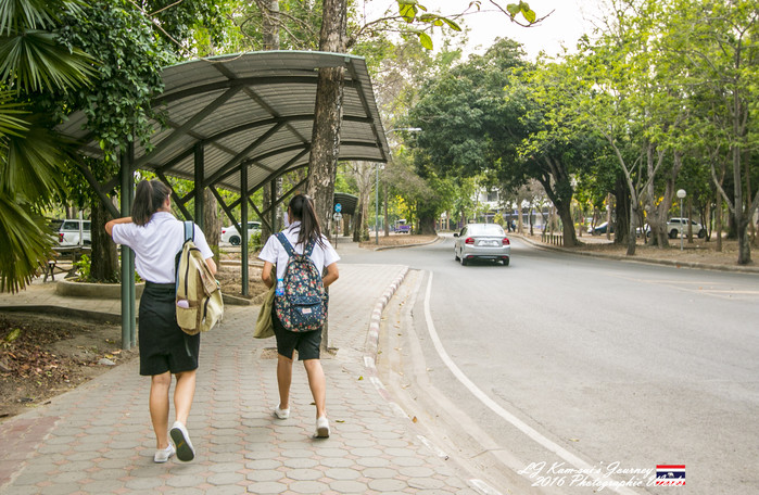 清迈佛寺之城等你采撷的泰北玫瑰,清迈环球旅行家
