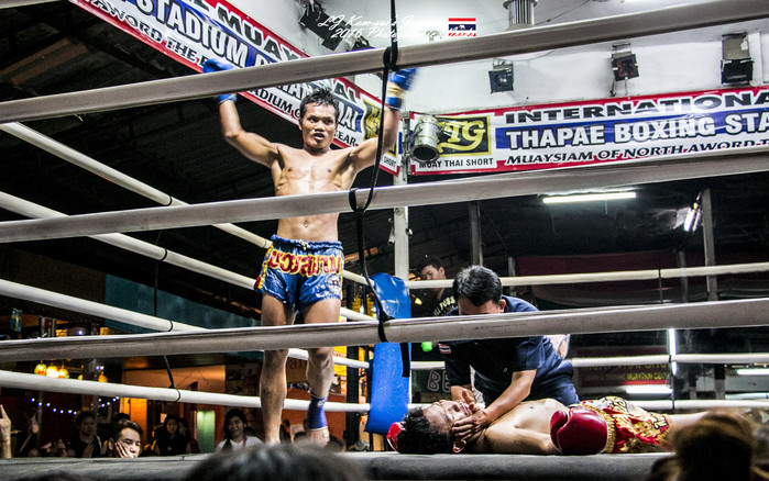 清迈佛寺之城等你采撷的泰北玫瑰,清迈环球旅行家