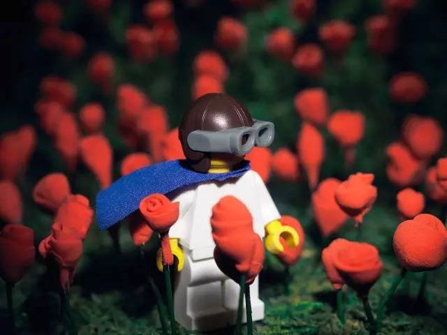 这对小夫妻竟然在家里造出了城堡、火星、九层妖塔