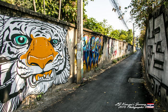 清迈佛寺之城等你采撷的泰北玫瑰,清迈环球旅行家