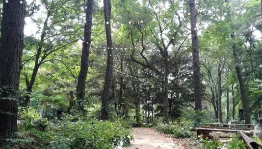 撒贝宁来潜江后湖,撒贝宁婚礼惹出大麻烦