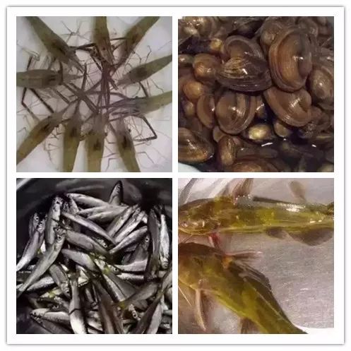 于都美食在哪里,于都逛吃攻略