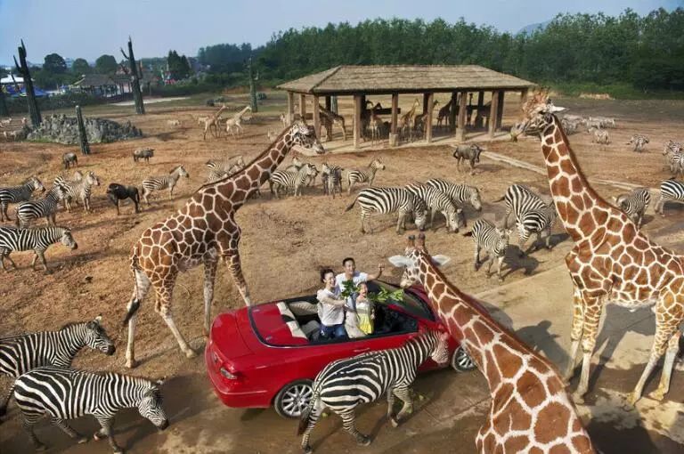 富阳可以带孩子游玩的地方,富阳适合带孩子玩的地方夏季