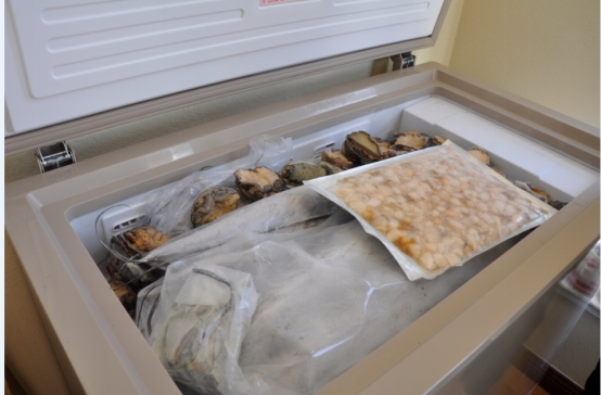 冷柜的发展趋势,冷柜入零无霜时代