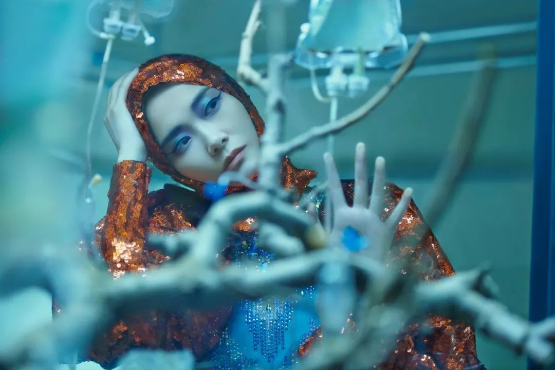 抢票演唱会票哪个成功率高,演唱会抢票成功概率高吗