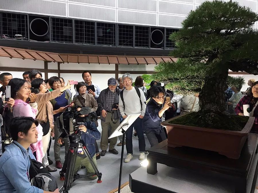 手艺失传可咋办？中国徒弟有方案