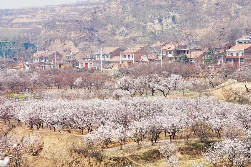西安慢火车周边游,从西安出发高铁周边游一日游