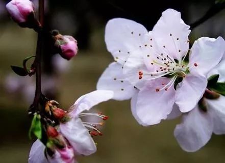 湖北荆州最近发生的大事,湖北最近大事