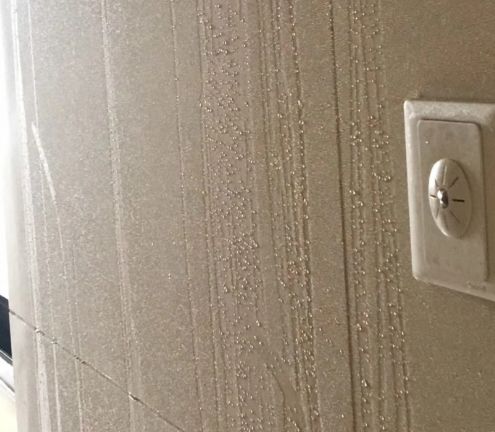 为什么家里回南天湿得特别严重,回南天家里很潮湿有什么方法除湿