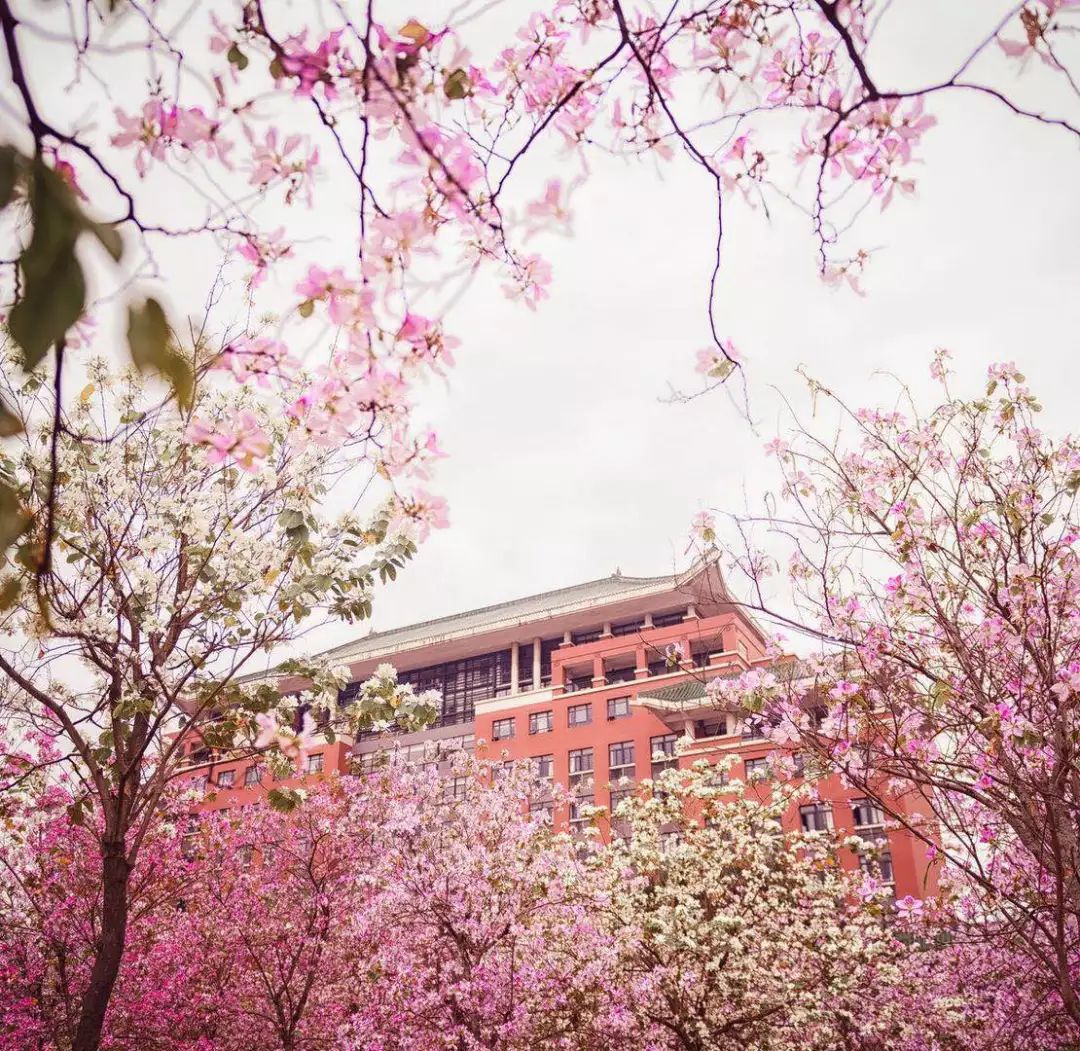 10涓ソ鐪嬬殑鑺辨捣鍦扮偣鎺ㄨ崘,蹇呭幓鑺辨捣鎺ㄨ崘娴极鑺辨捣