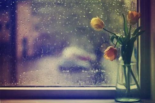 囤的药过期了怎么办,家里的药放着放着就过期了