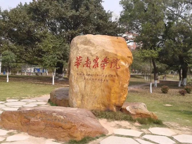 10涓ソ鐪嬬殑鑺辨捣鍦扮偣鎺ㄨ崘,蹇呭幓鑺辨捣鎺ㄨ崘娴极鑺辨捣