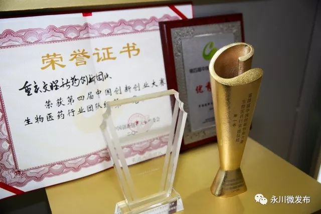 永川高新区国家级基地,永川高新区最新规划