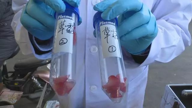 「消费那些事儿」市场上鲜嫩可口的草莓真的安全吗？不检测不知道，一检测……