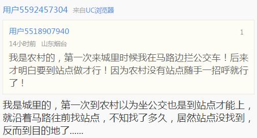 700年前的陶盘，猫认证