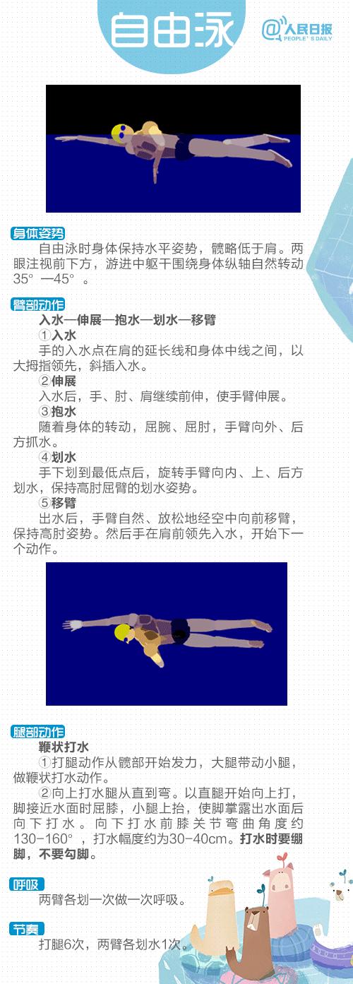 最简单游泳简图,游泳视频教学初学者分步动作讲解