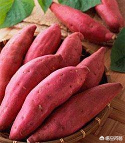 便秘果吃多久可以改善便秘,便秘了吃什么最能通便